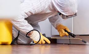 Best Pest Prevention Services  in Christopher, IL